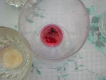 leftovers art photography