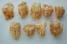grapefruit sculptures collection of hands peel sown together fragile